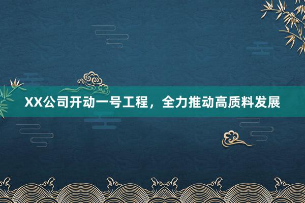 XX公司开动一号工程，全力推动高质料发展